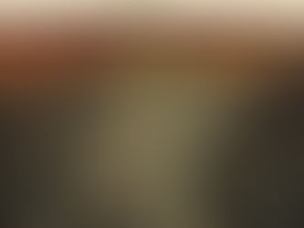 Mycorrhizae Message from Willie Pretorius