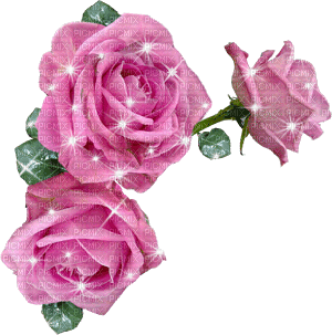 glitter vflower png.gif