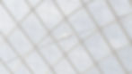 The Moynihan Collective Website Landing Page.jpg