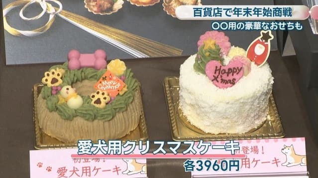 ご紹介いただきました!