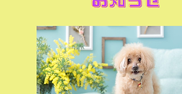 1月のイベントのお知らせ 