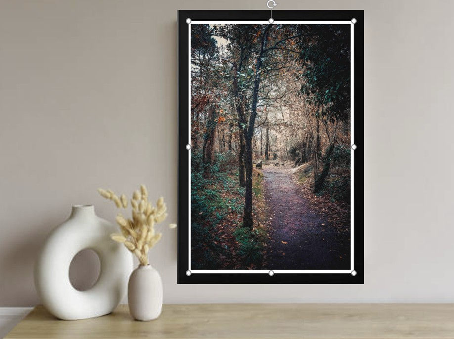 Sentier menant à la Fontaine de Jouvence en forêt de Brocéliande – ambiance naturelle