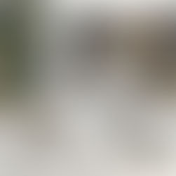 A Alma da Casa: Existe Mesmo ou É Pura Invenção?