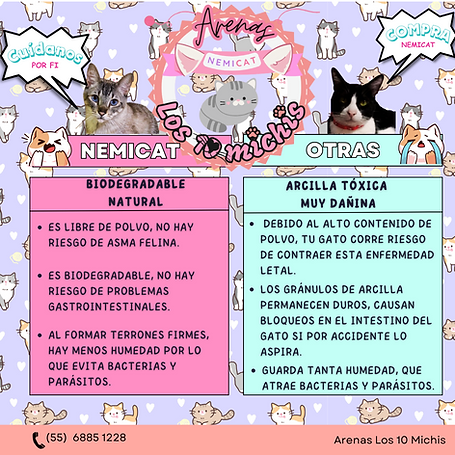 NemiCat y otras.png