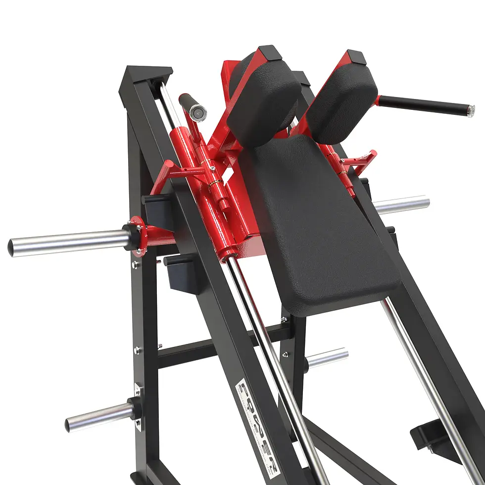 Miniatura: PI08-SENTADILLA HACK