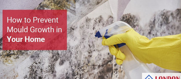 Plumber Tips On How to Prevent Mould Growth in Your Home