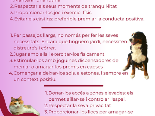 COVID-19. NORMES PER A VENIR A LA CLÍNICA.