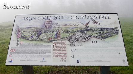 Bryn MyrddinBis_300dpi.jpg
