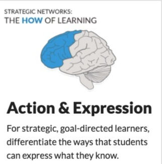 Universal Design for Learning (3)