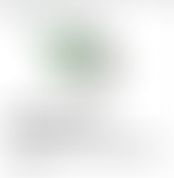 Universal Design for Learning (4)