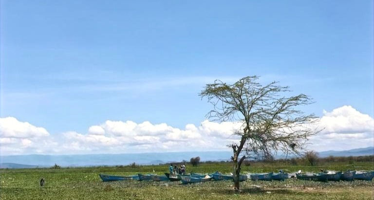 The have-to-explore in Nakuru, Kenya