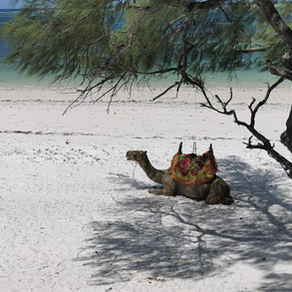 The Must Explore of Mombasa, Kenya