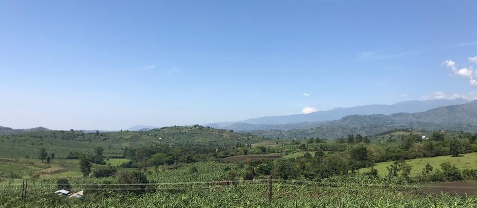 The 5 best Things about City Jinja, Uganda