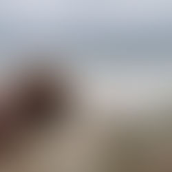 The Kenyan Mentality and Safety