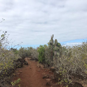 First 4 steps before going to the Galápagos Islands