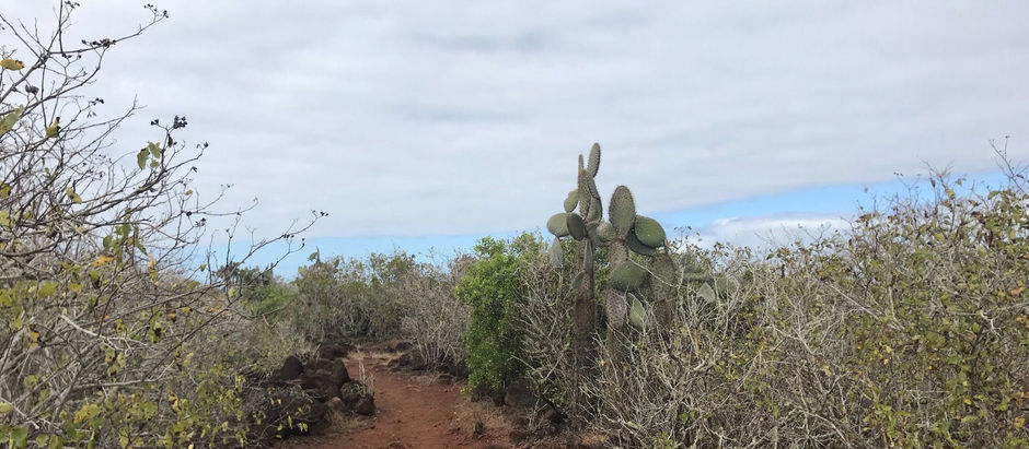 First 4 steps before going to the Galápagos Islands
