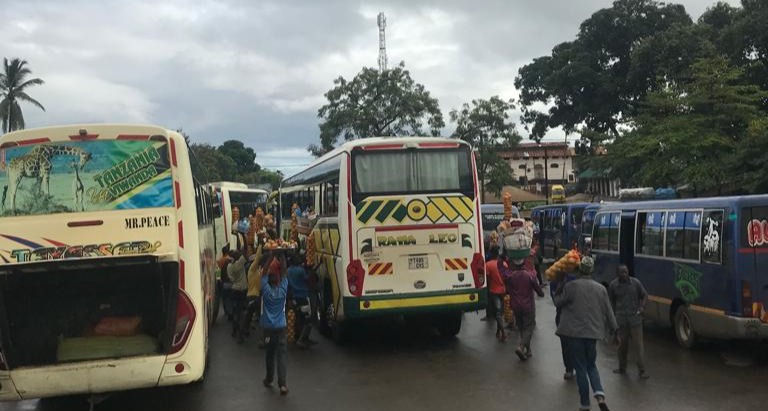 The Tanzanian Transportation System