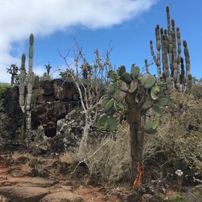 Tourism in Santa Cruz, Galápagos Islands