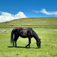 4 Things to See in Lesotho