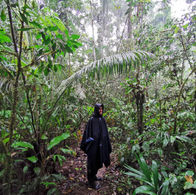 10 Days of the Ecuadorian Amazon Forest, Cuyabeno