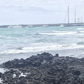 6 Activities at Island Isabella, Galápagos Islands