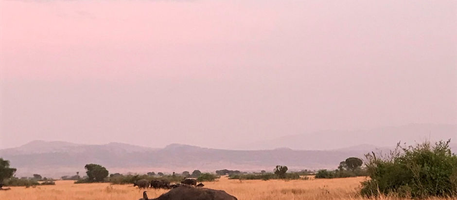 Queen Elizabeth National Park, Uganda