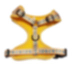Back of a H Classic Style harness by Hendricks and Maple