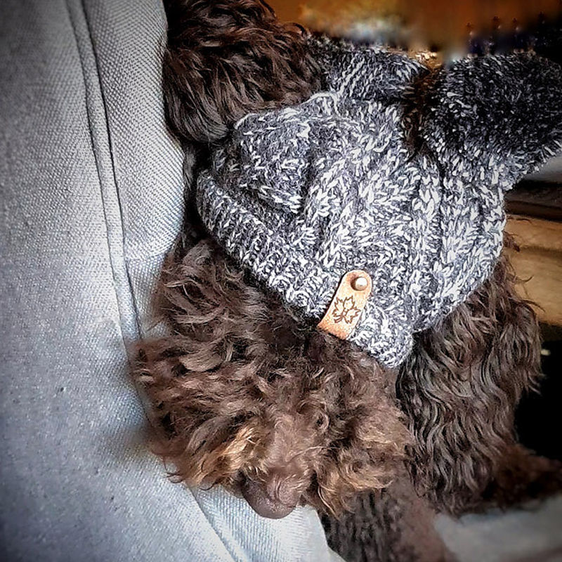 Labradoodle in the grey merle knitted beanie by Hendricks and Maple