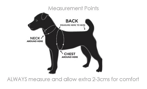 diagram of where to measure a dog
