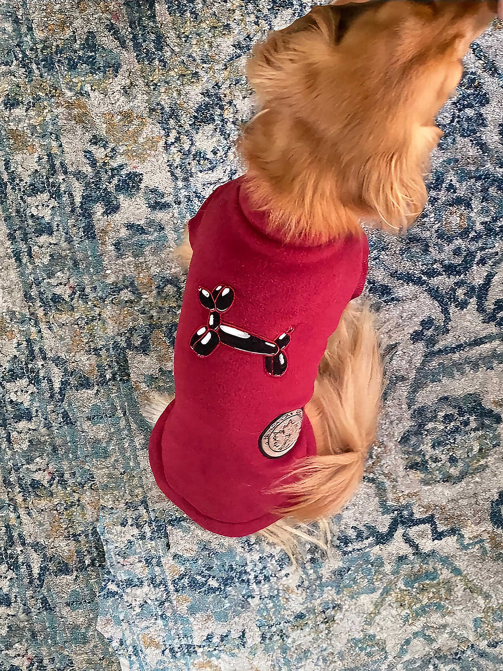 Thumbnail: Close up view of dog wearing shiraz balloon dog fleece by Hendricks and Maple