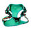 Thumbnail: Dragon fruit adjustable dog harness back by Hendricks and Maple