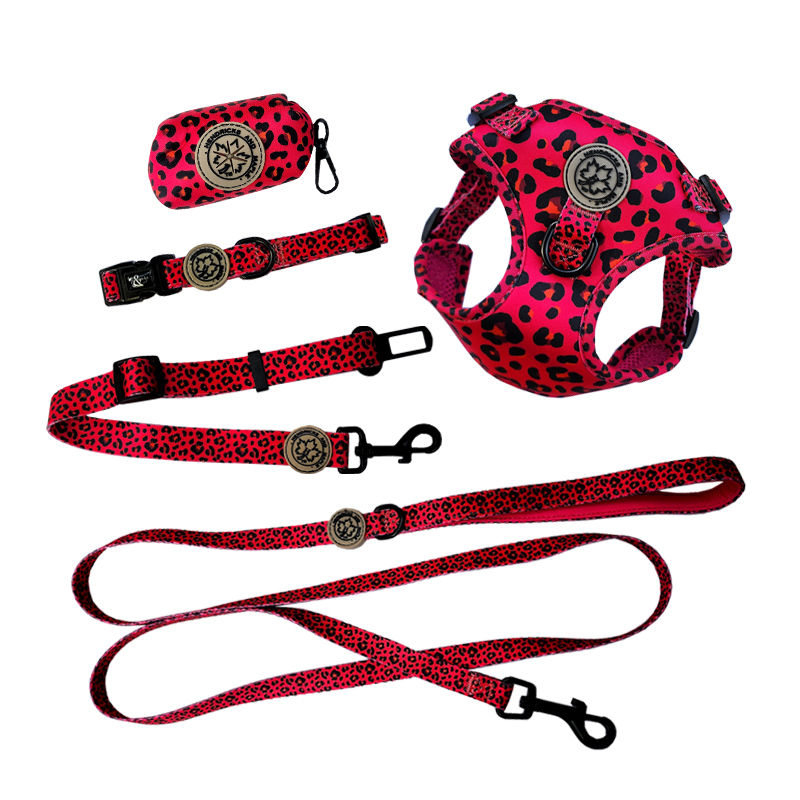 Thumbnail: Never change my spots hot pink leopard dog range by Hendricks and Maple