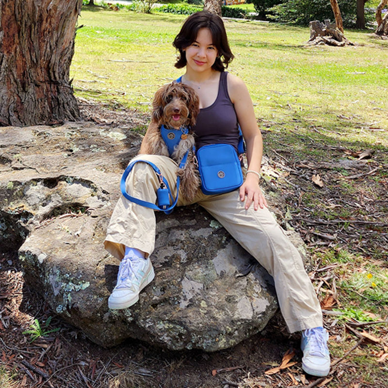 Thumbnail: Girl and dog on rock in denim dog harness and dog walkies bag by Hendricks and Maple
