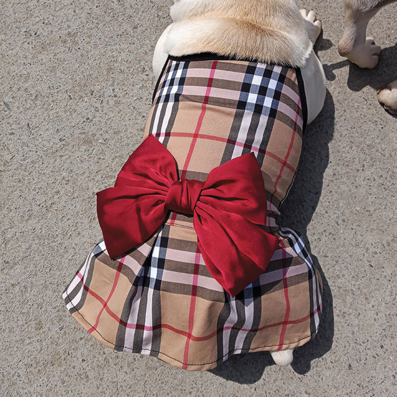 Thumbnail: Close up of french bulldog wearing plaid bow dog dress by Hendricks and Maple