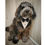 Thumbnail: Tuxedo wedding collar on dog by Hendricks and Maple