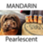 Thumbnail: Mandarin pearlescent dog ugg boots by Hendricks and Maple