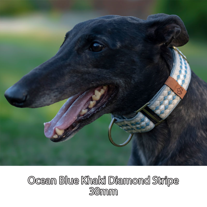 Close up of ocean khaki diamond stripe martingale collar by Hendricks and Maple