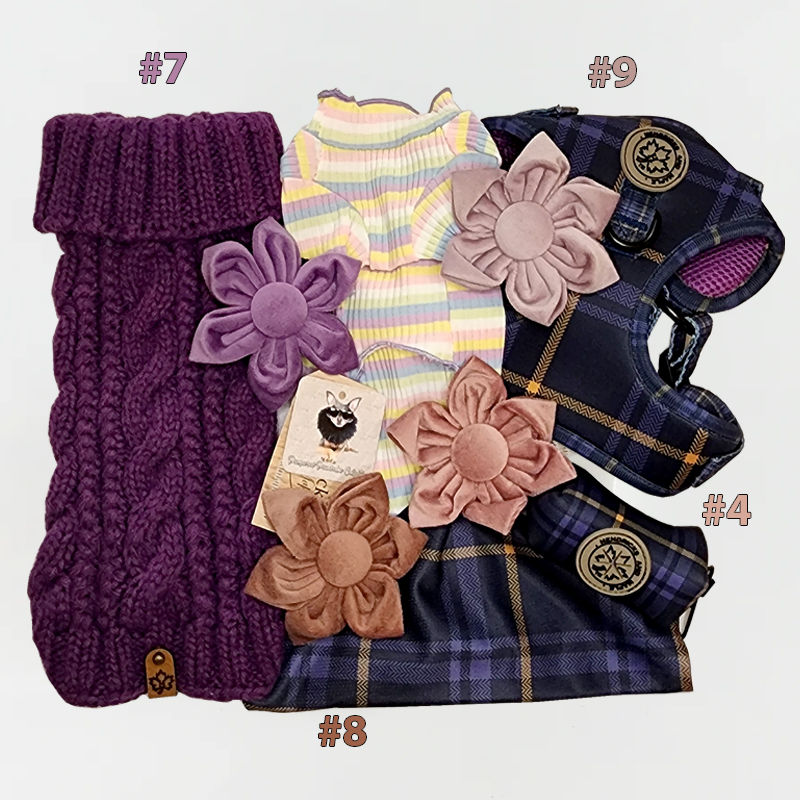 Thumbnail: Luxe velvet dog collar flower purples by Hendricks and Maple