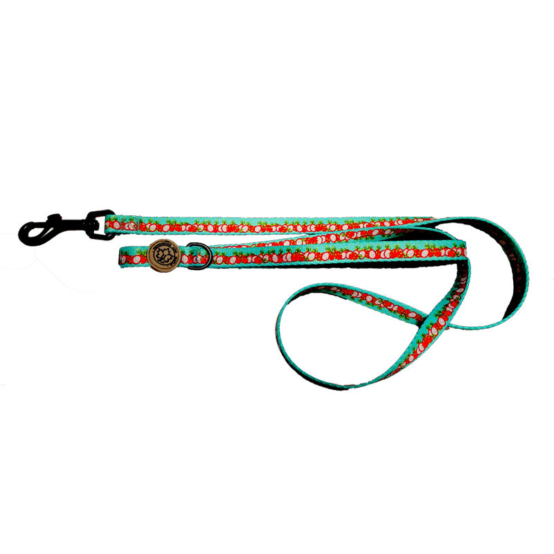 Dragon fruit printed leash by Hendricks and Maple