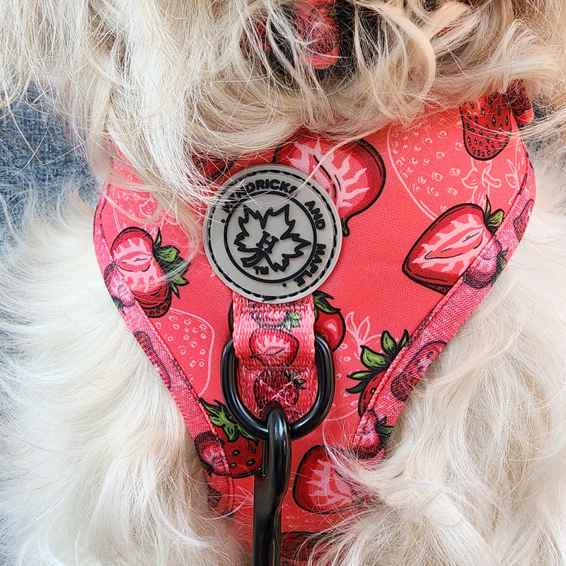 The front of the BERRY SWEET - NO PULL Classic Style Fully Adjustable Dog Harness exclusive to Hendricks and Maple. A NO PULL Dog Harness is any harness with a front D ring to attach a leash.