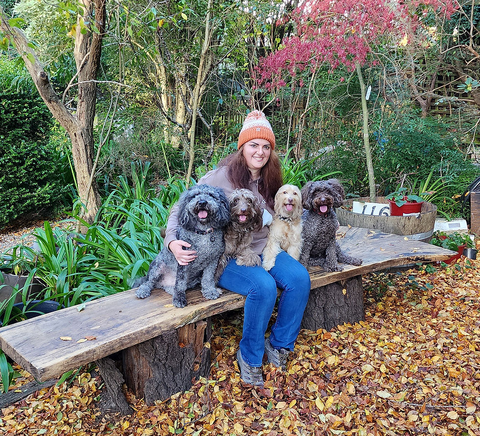Rachelle, founder of Hendricks and Maple, sitting on a rustic wooden bench in her garden with her four dogs Hendricks, Maple, Olive and Hazelnut, surrounded by autumn leaves in the Blue Mountains.