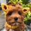 Thumbnail: Small dog wearing giraffe knitted novelty dog snood by Hendricks and Maple