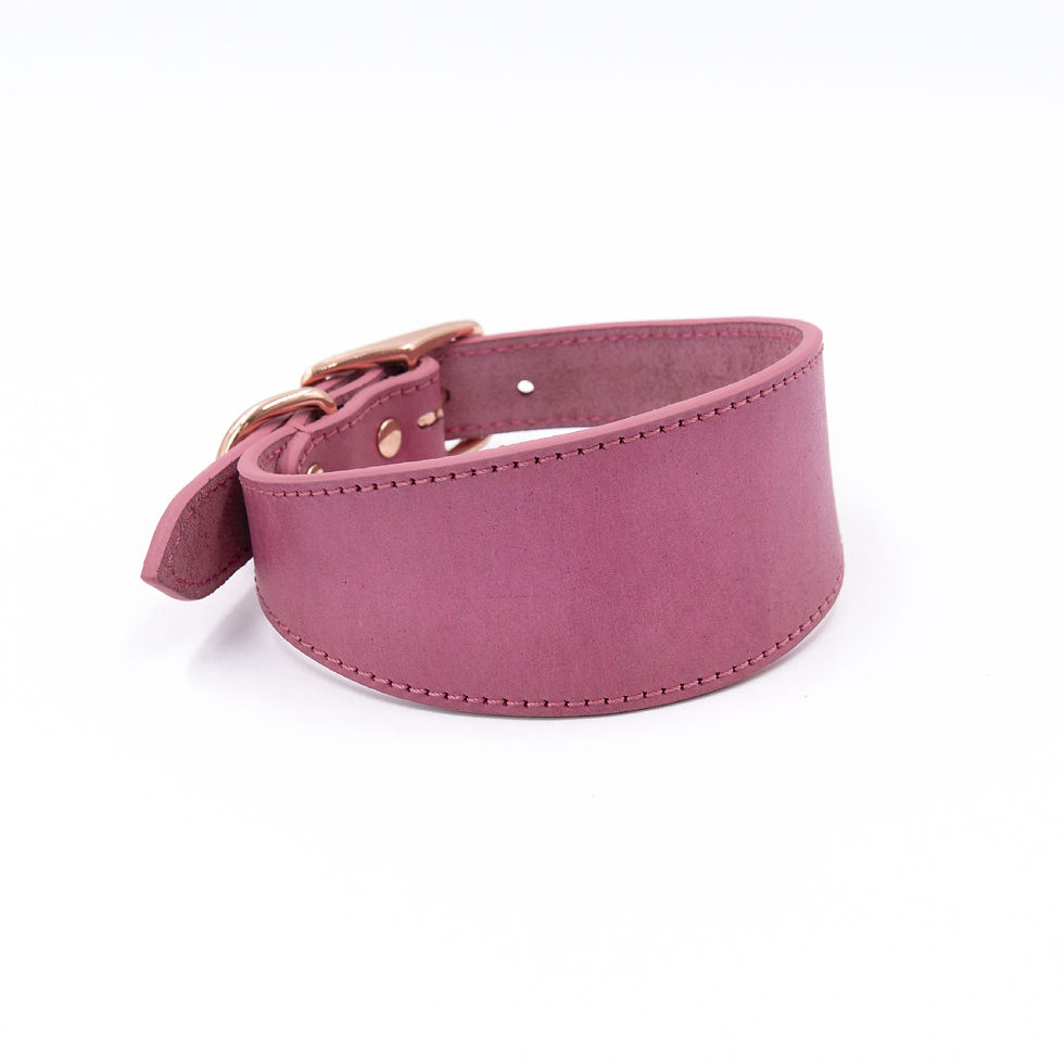 Pink cowhide leather wide collar Hendricks and Maple