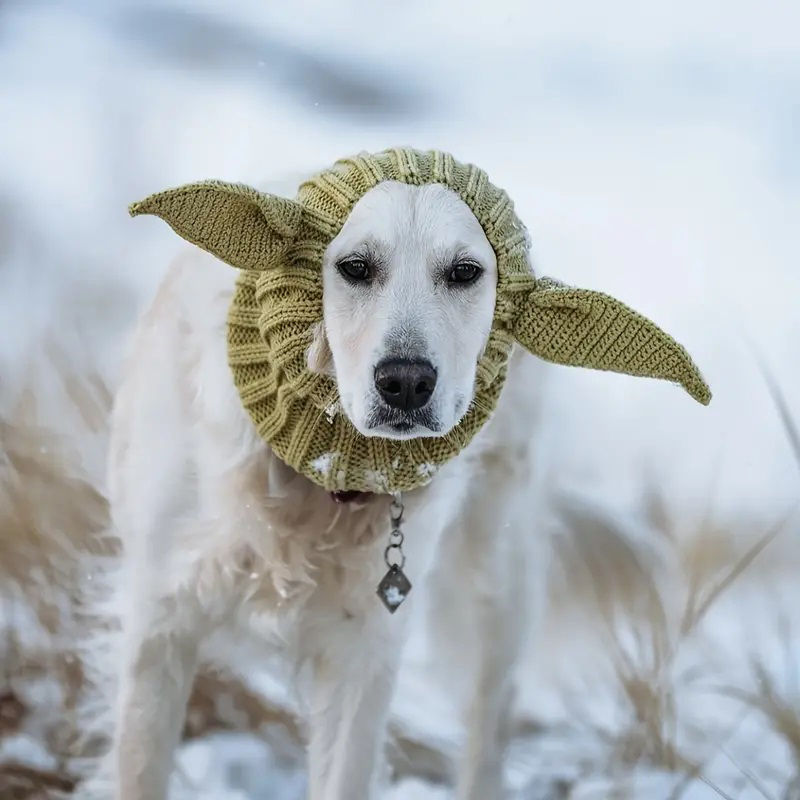 Thumbnail: Large dog in snow wearing alien knitted dog snood by Hendricks and Maple