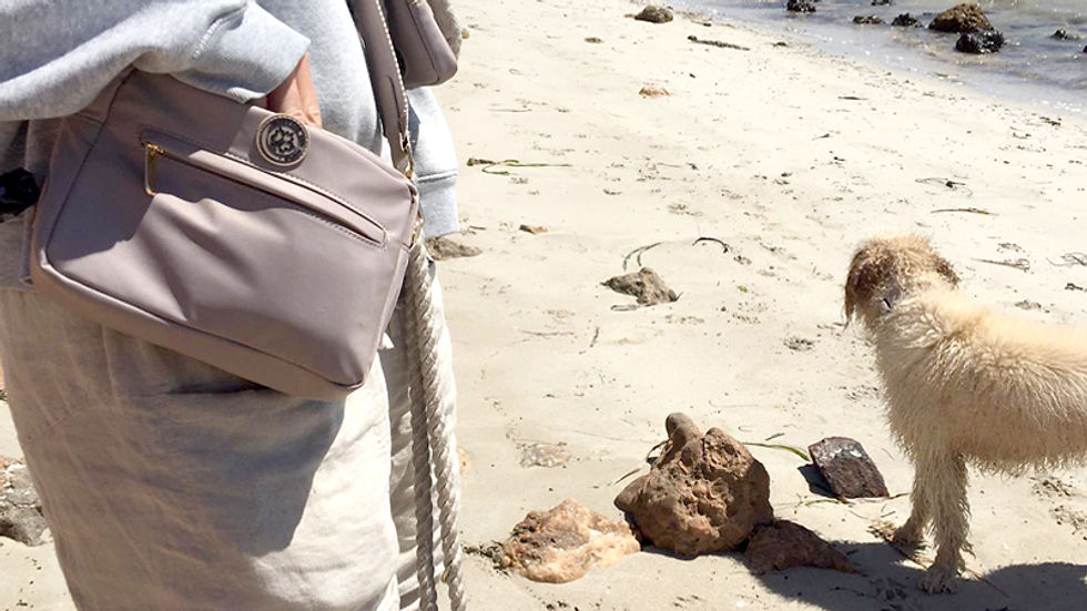 Woman on an Australian beach with her dog using the Walkies dog bag by Hendricks and Maple.