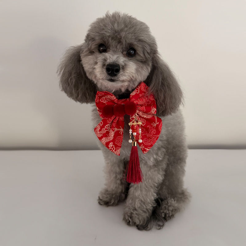 Thumbnail: Lunar new year dragon brocade sailor bow on silver poodle by Hendricks and Maple