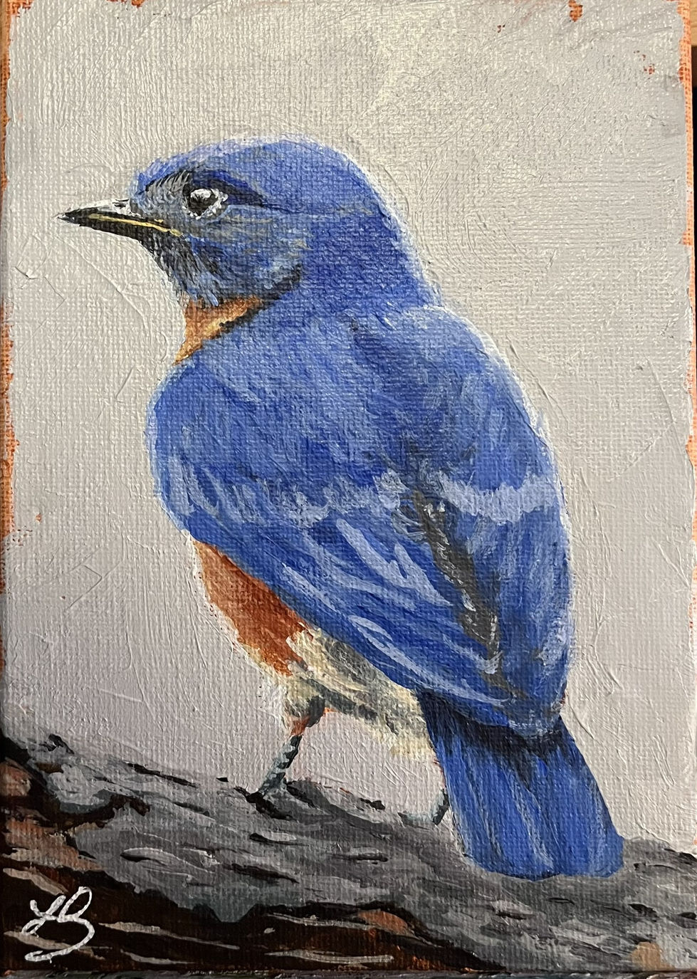 Painting of an eastern bluebird, rear view, standing on a tree branch. Grey background.