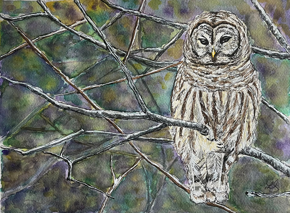 painting of a barred owl on a tree branch
