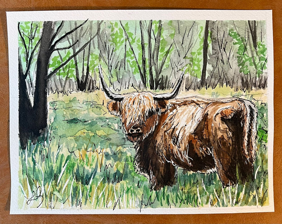 Watercolor painting of a scottish highland cow standing in a field, woods in the background.