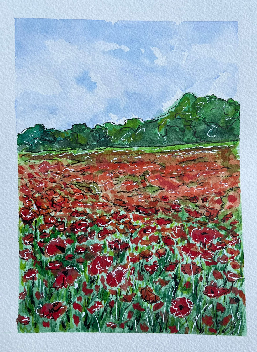 Poppy Field